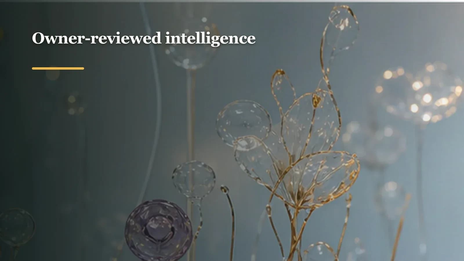 Evidence Research Memory Starter preview 3