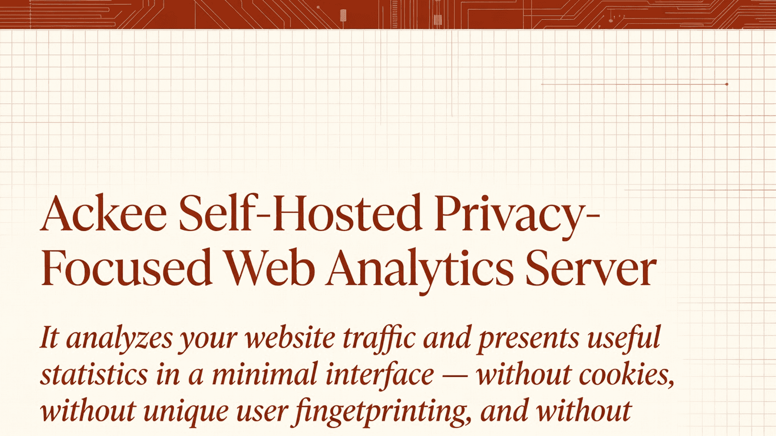 Ackee Self-Hosted Privacy-Focused Web Analytics Server